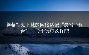 蘑菇视频下载的网络适配“最省心组合”：12个选项这样配