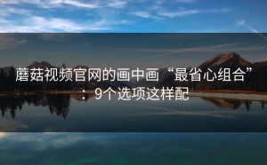 蘑菇视频官网的画中画“最省心组合”：9个选项这样配