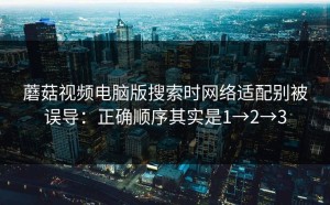 蘑菇视频电脑版搜索时网络适配别被误导：正确顺序其实是1→2→3