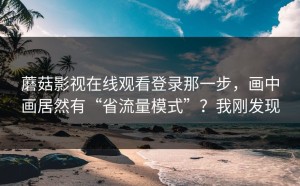 蘑菇影视在线观看登录那一步，画中画居然有“省流量模式”？我刚发现