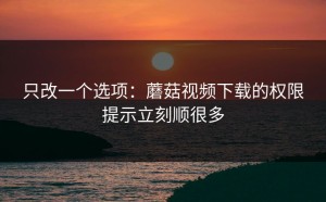 只改一个选项：蘑菇视频下载的权限提示立刻顺很多