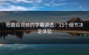 把蘑菇视频的字幕讲透：15个细节决定体验