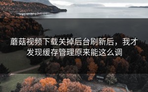 蘑菇视频下载关掉后台刷新后，我才发现缓存管理原来能这么调