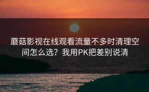 蘑菇影视在线观看流量不多时清理空间怎么选？我用PK把差别说清