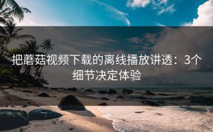 把蘑菇视频下载的离线播放讲透：3个细节决定体验