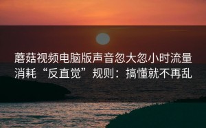 蘑菇视频电脑版声音忽大忽小时流量消耗“反直觉”规则：搞懂就不再乱