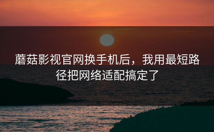 蘑菇影视官网换手机后，我用最短路径把网络适配搞定了