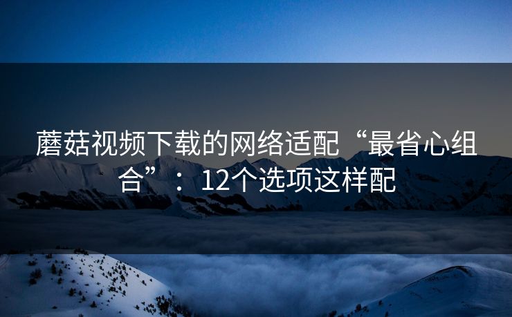 蘑菇视频下载的网络适配“最省心组合”：12个选项这样配