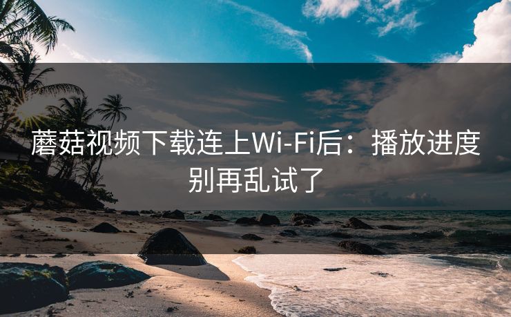 蘑菇视频下载连上Wi‑Fi后:播放进度别再乱试了 蘑菇视频下载连上Wi‑Fi后:播放进度别再乱试了