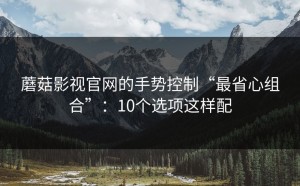 蘑菇影视官网的手势控制“最省心组合”：10个选项这样配