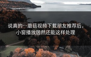 说真的…蘑菇视频下载朋友推荐后，小窗播放居然还能这样处理