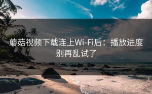 蘑菇视频下载连上Wi‑Fi后：播放进度别再乱试了