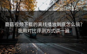 蘑菇视频下载的离线播放到底怎么搞？我用对比评测方式讲一遍