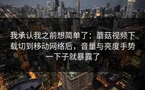 我承认我之前想简单了：蘑菇视频下载切到移动网络后，音量与亮度手势一下子就暴露了