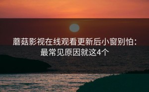 蘑菇影视在线观看更新后小窗别怕：最常见原因就这4个
