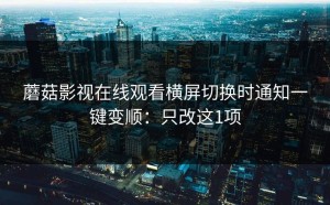 蘑菇影视在线观看横屏切换时通知一键变顺：只改这1项