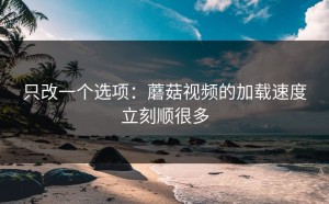 只改一个选项：蘑菇视频的加载速度立刻顺很多