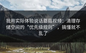 我用实际体验说话蘑菇视频：清理存储空间的“优先级规则”，搞懂就不乱了