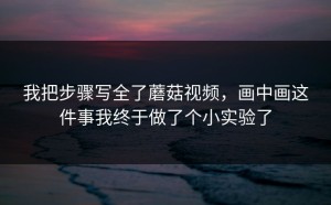 我把步骤写全了蘑菇视频，画中画这件事我终于做了个小实验了