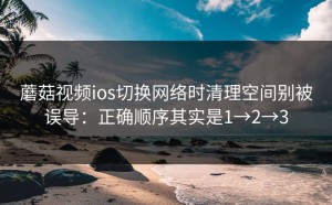 蘑菇视频ios切换网络时清理空间别被误导：正确顺序其实是1→2→3