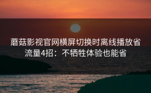 蘑菇影视官网横屏切换时离线播放省流量4招：不牺牲体验也能省