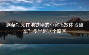 蘑菇视频在地铁里的小窗播放体验翻车？多半是这个原因
