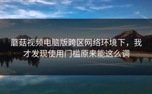 蘑菇视频电脑版跨区网络环境下，我才发现使用门槛原来能这么调