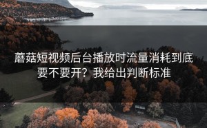 蘑菇短视频后台播放时流量消耗到底要不要开？我给出判断标准