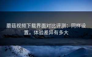 蘑菇视频下载界面对比评测：同样设置，体验差异有多大