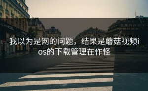 我以为是网的问题，结果是蘑菇视频ios的下载管理在作怪