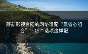 蘑菇影视官网的网络适配“最省心组合”：15个选项这样配