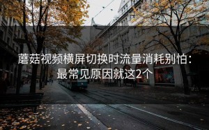 蘑菇视频横屏切换时流量消耗别怕：最常见原因就这2个