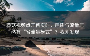 蘑菇视频点开首页时，画质与流量居然有“省流量模式”？我刚发现