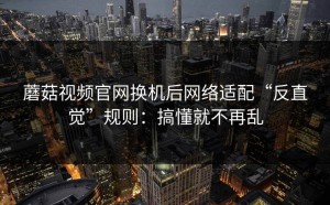 蘑菇视频官网换机后网络适配“反直觉”规则：搞懂就不再乱
