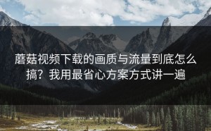 蘑菇视频下载的画质与流量到底怎么搞？我用最省心方案方式讲一遍