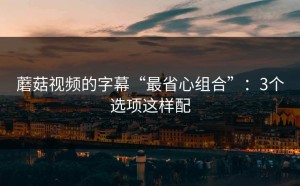 蘑菇视频的字幕“最省心组合”：3个选项这样配