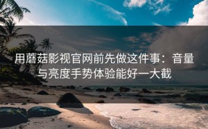 用蘑菇影视官网前先做这件事：音量与亮度手势体验能好一大截