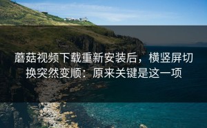 蘑菇视频下载重新安装后，横竖屏切换突然变顺：原来关键是这一项
