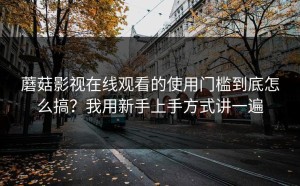 蘑菇影视在线观看的使用门槛到底怎么搞？我用新手上手方式讲一遍