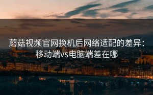 蘑菇视频官网换机后网络适配的差异：移动端vs电脑端差在哪