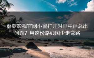 蘑菇影视官网小窗打开时画中画总出问题？用这份路线图少走弯路