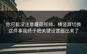 你可能没注意蘑菇视频，横竖屏切换这件事我终于把关键设置圈出来了