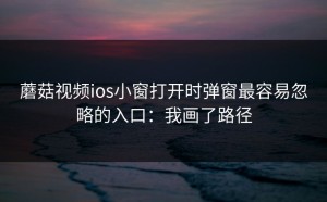 蘑菇视频ios小窗打开时弹窗最容易忽略的入口：我画了路径