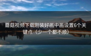 蘑菇视频下载刚装好画中画设置6个关键点（少一个都不顺）