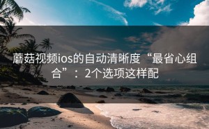 蘑菇视频ios的自动清晰度“最省心组合”：2个选项这样配