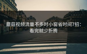 蘑菇视频流量不多时小窗省时间7招：看完就少折腾