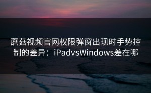 蘑菇视频官网权限弹窗出现时手势控制的差异：iPadvsWindows差在哪