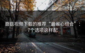 蘑菇视频下载的推荐“最省心组合”：7个选项这样配