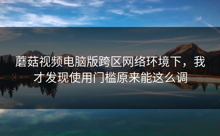 蘑菇视频电脑版跨区网络环境下，我才发现使用门槛原来能这么调