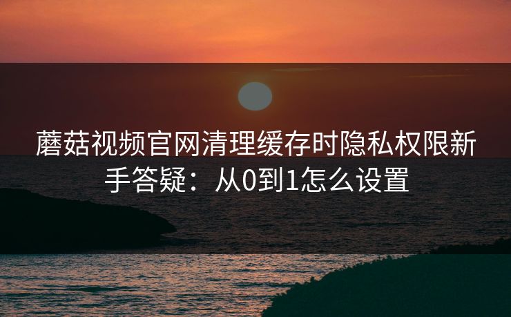 蘑菇视频官网清理缓存时隐私权限新手答疑:从0到1怎么设置 蘑菇视频官网清理缓存时隐私权限新手答疑:从0到1怎么设置